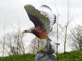 Statue Adler in Farbe - 60 cm - Polystone