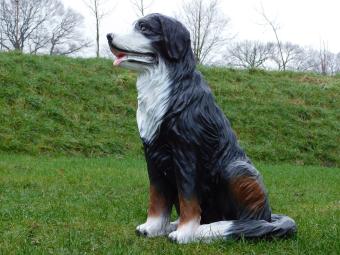 Beeld Berner Sennenhond - 80 cm - Polystone