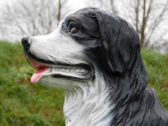 Statue Bernese Mountain Dog - 80 cm - Polystone