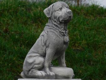 Statue Dog - 35 cm - Stone