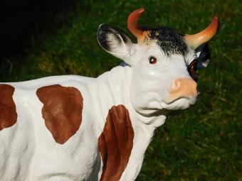 Cow in Colour - 65 cm - Brown with White - Polystone