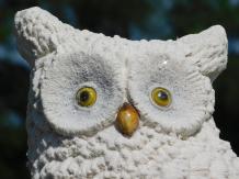 Hand-painted Statue of an Owl | Magnesia | Weatherproof