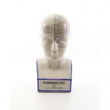 EEN PORSELEINEN PHRENOLOGY HOOFD IN KLEUR.