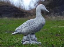 Stone duck - 37 cm - Detailed