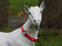 Goat - white - polystone - detailed