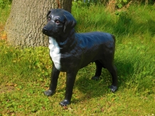 Beautiful ''Labrador Retriever'' black - from Polystone