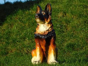 Schäferhund in Farbe - 60 cm - Polystone