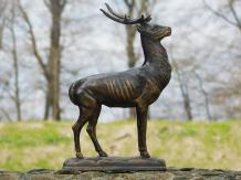 Deer - standing with antlers - bronze look - metal