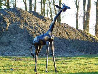 Handgefertigte Giraffe - 155 cm - Schwarz mit Golddetails - Metall