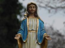 Beeld Heilige Maria - polystone - in kleur