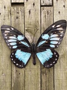 Butterfly, all metal and full blue-green black color.