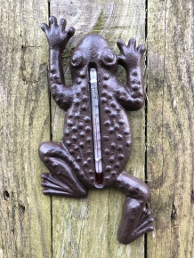 Frog as thermometer, outdoor thermometer as toad, country style