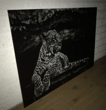 Prachtige kunst op glas van een liggende luipaard / panter, zwart-wit, heel mooi!