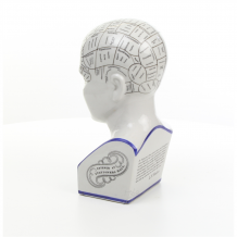 A porcelain phrenology head in blue coloring