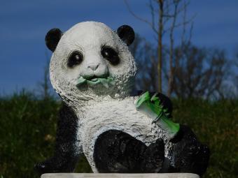 Beeld Leunende Panda - Polystone - in Kleur