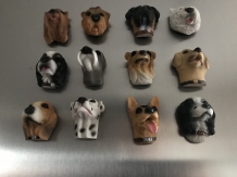 Kühlschrankmagnete, 12 Hunde als schöne Dekoration