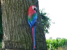 Roter Papagei XL - Gusseisen - Bunte Wanddekoration