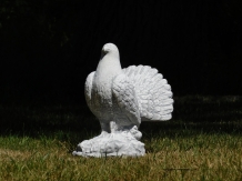 Statue of a peacock pigeon - solid stone