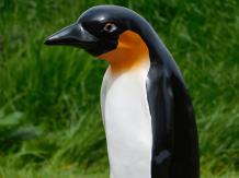 Pinguin in Kleur - 40 cm - Polystone