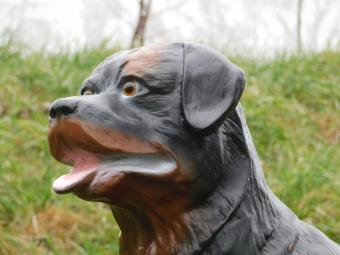 Statue Rottweiler - 80 cm - Polystone