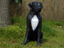 Beautiful ''Rottweiler'' black/white - from Polystone
