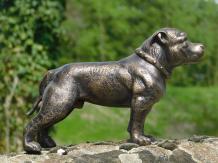 Statue Pitbull - cast iron - dog sculpture