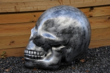 Very large anatomical skull, made of Polystein-grey-black