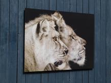 Painting Lion and Lioness - 90 x 60 cm 