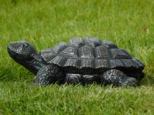 Statue turtle - 32 cm - Magnesia