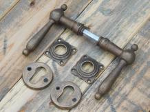 Set Door Hardware PZ - Handles and Rosettes - Brushed Brass