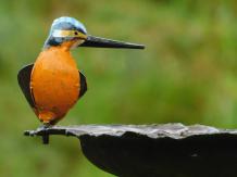 Handmade Food Bowl with Kingfisher - Garden Stick - Metal