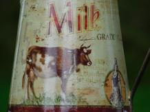 Vintage Milk Jug with Cow - Dairy Fresh