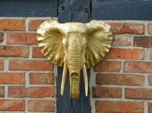 Wall ornament elephant - gold - polystone