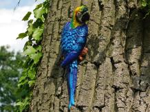 Blue Parrot - Cast iron - Wall decoration