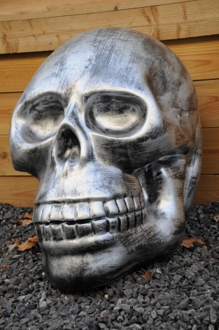 Very large anatomical skull, made of Polystein-grey-black