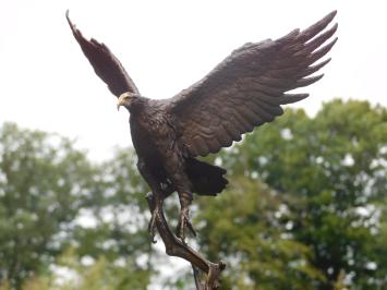 Bronze Eagle on Marble Base - 51 cm - Sculpture