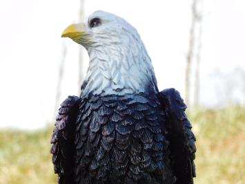 Eagle on Tree Trunk - 37 cm - Polystone