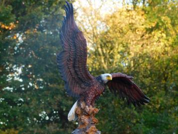 Bald Eagle - 40 x 50 cm - Polystone - Zeearend