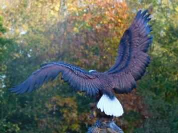 Statue Eagle - 40 x 50 cm - Polystone