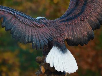 Statue Eagle - 40 x 50 cm - Polystone