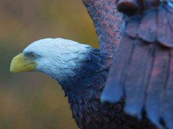 Bald Eagle - 40 x 50 cm - Polystone