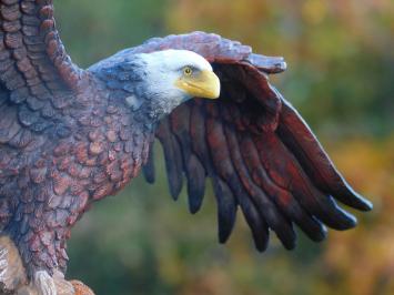 Bald Eagle - 40 x 50 cm - Polystone - Zeearend