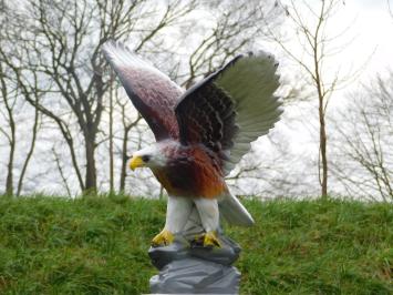 Statue Eagle in Colour - 60 cm - Polystone