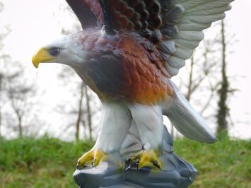 Statue Eagle in Colour - 60 cm - Polystone