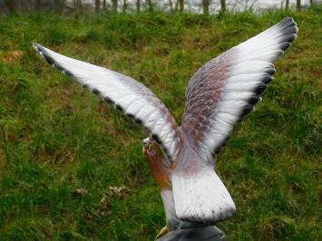 Statue Eagle in Colour - 60 cm - Polystone