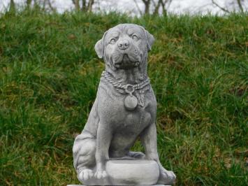 Statue Hund - 35 cm - Stein