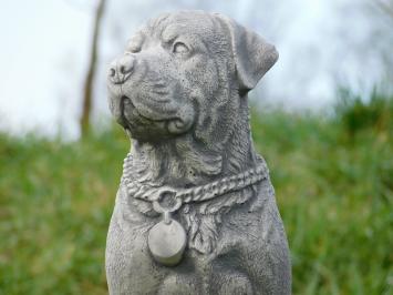 Statue Dog - 35 cm - Stone