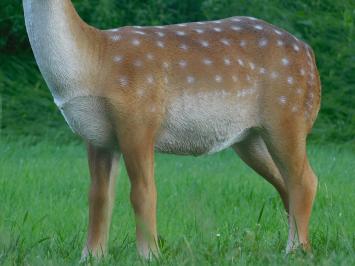 Statue Hirsch XL | Polystone | Sikahert | Ganz in Farbe