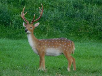 Statue Hirsch XL | Polystone | Sikahert | Ganz in Farbe