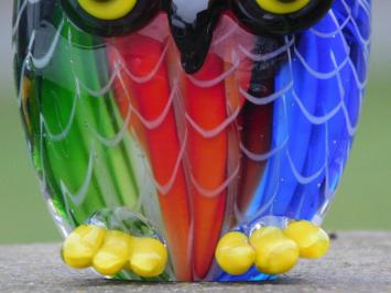 Glass owl statue - in colour